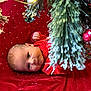 baby, berries, blanket, christmas, closeup, cute, decorations, face, festive, frosted, holiday, indoor, infant, lying_down, peaceful, pine_branches, red_clothing, soft_texture, winter, young_child