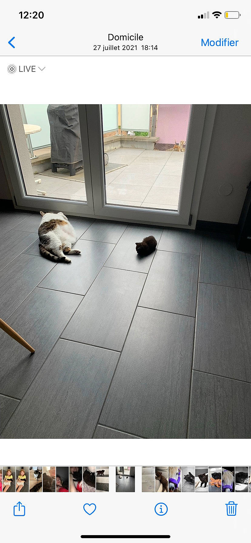 Sushy participe au concours pour gagner de l'argent avec cette photo : carnivore, cat, comfort, companion_dog, dog_breed, door_mat, felidae, floor, flooring, fur, hardwood, human_leg, laminate_flooring, rectangle, road_surface, small_to_medium_sized_cats, tail, tints_and_shades, whiskers, wood