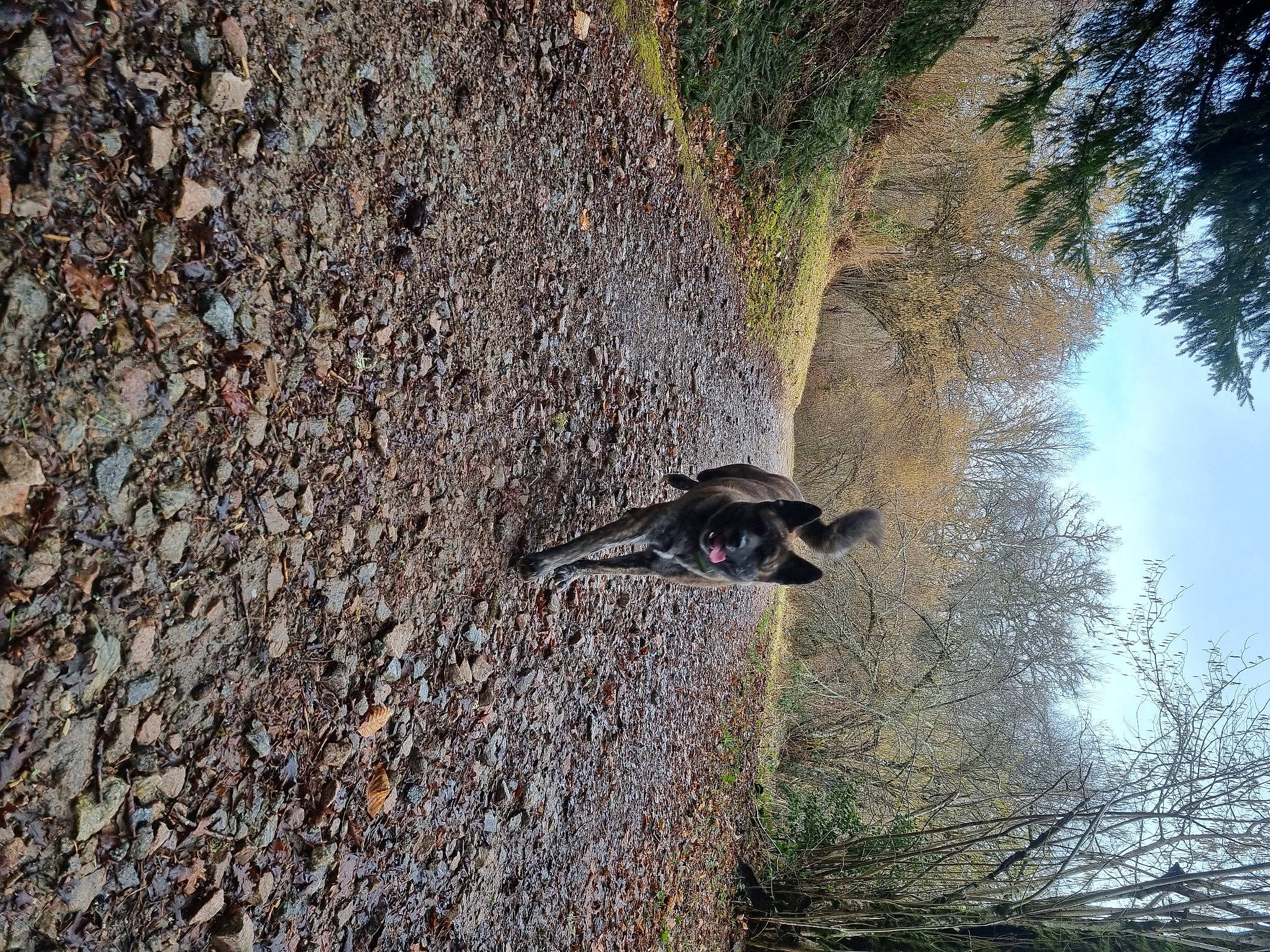 Pêche a rejoint le concours — aidez-le/la à gagner de superbes lots ! adventure, asphalt, bedrock, carnivore, grass, landscape, plant, recreation, road_surface, rock, shadow, shrub, sky, slope, soil, tree, trunk, twig, wildlife, wood