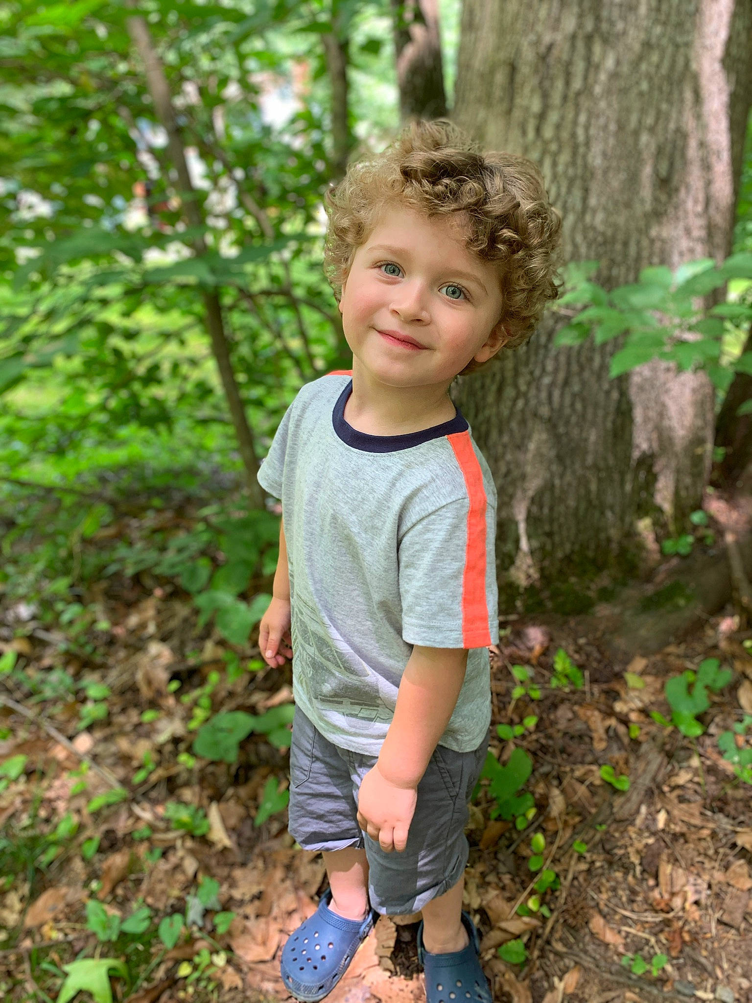 Koen is registered to the contest to win money with this photo: child, child_model, forest, fun, grass, green, joy, jungle, leaf, male, person, photography, plant, standing, summer, t_shirt, toddler, tree, vacation, wood
