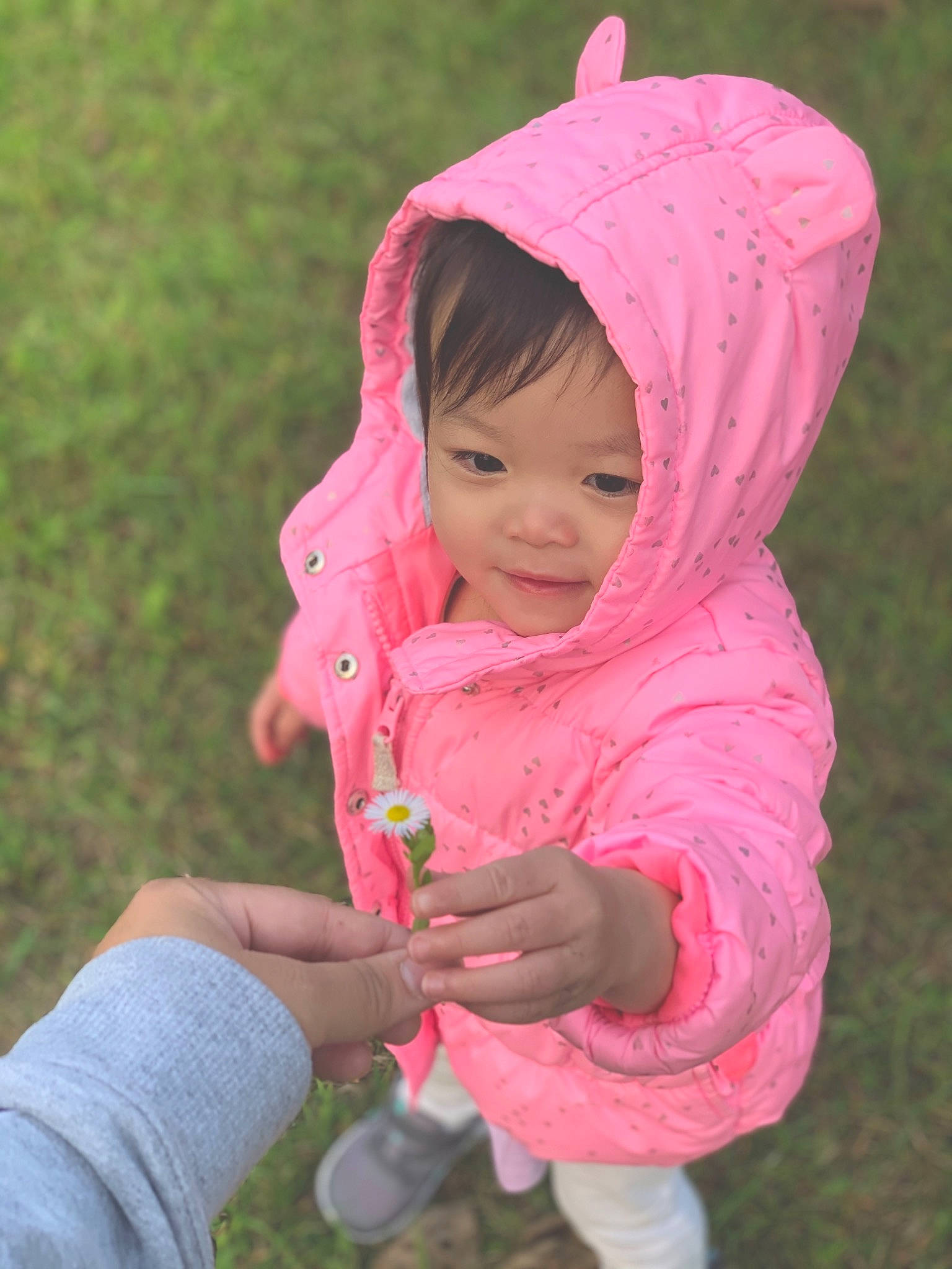 Kassidy joined the competition — help win amazing prizes! baby, baby_toddler_clothing, bonnet, cheek, child, facial_expression, finger, hood, hoodie, human, lip, magenta, mouth, people_in_nature, person, pink, purple, skin, thumb, toddler