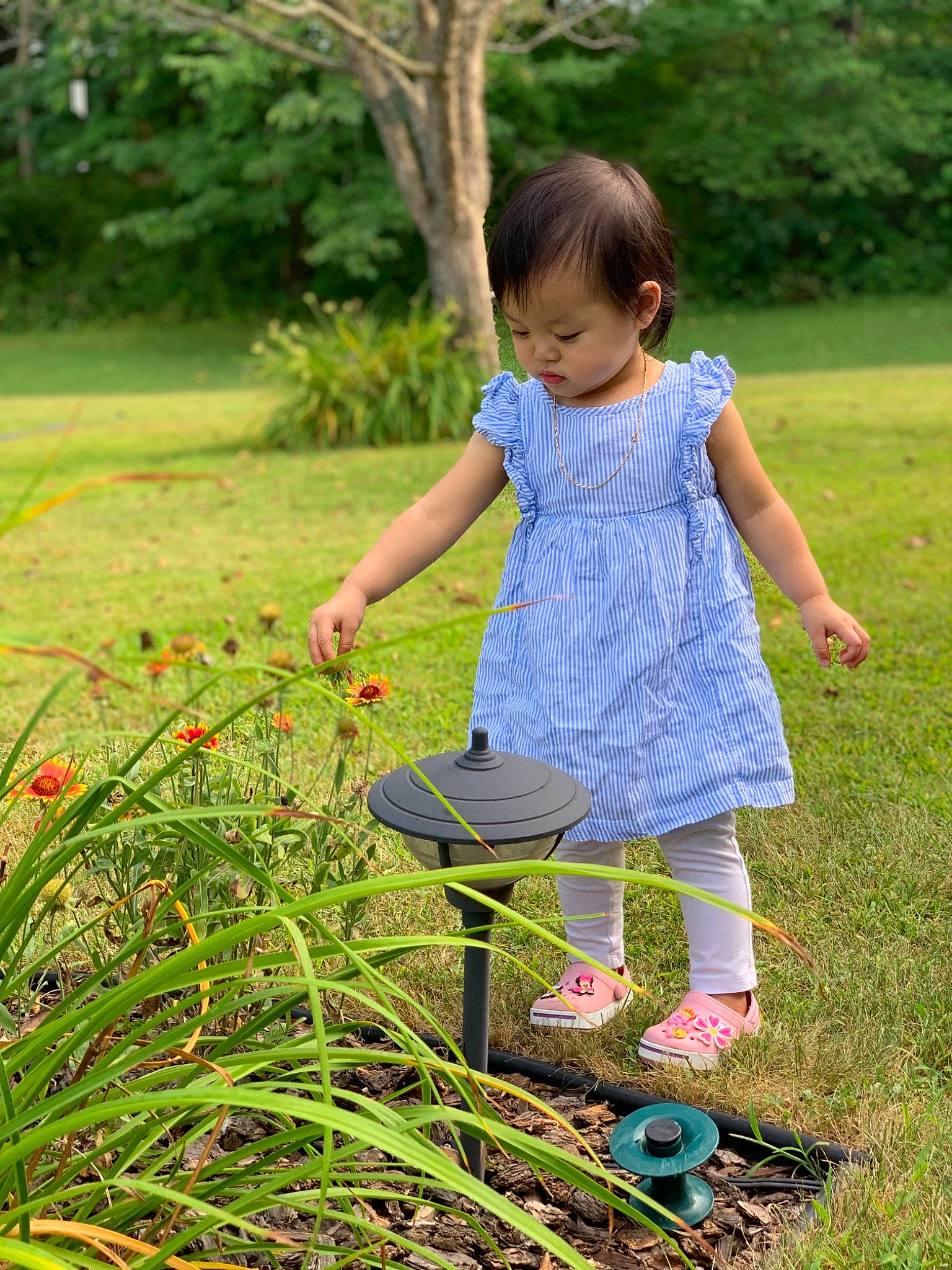Kassidy joined the competition — help win amazing prizes! baby_toddler_clothing, child, day_dress, dress, lavender, one_piece_garment, pattern, people_in_nature, person, spring, toddler, toy