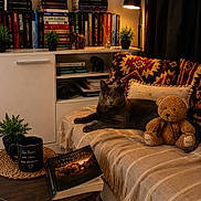 Freyja a rejoint le concours — aidez-le/la à gagner de superbes lots ! blanket, book, bookshelf, cat, coffee_mug, couch, cozy, decor, gray_cat, home, indoor, lamp, pillow, plant, reading_nook, relaxing, table, teddy_bear, warm_light, wooden_floor
