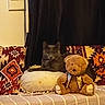 Freyja a rejoint le concours — aidez-le/la à gagner de superbes lots ! animal, cat, companion, cozy, curtain, cushion, decor, furniture, gray_cat, home, indoor, patterned_fabric, pet, pillow, plush_toy, resting, sofa, striped_blanket, stuffed_animal, teddy_bear