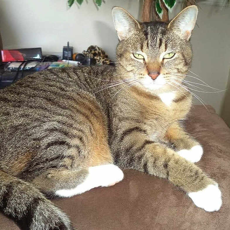 Sophie