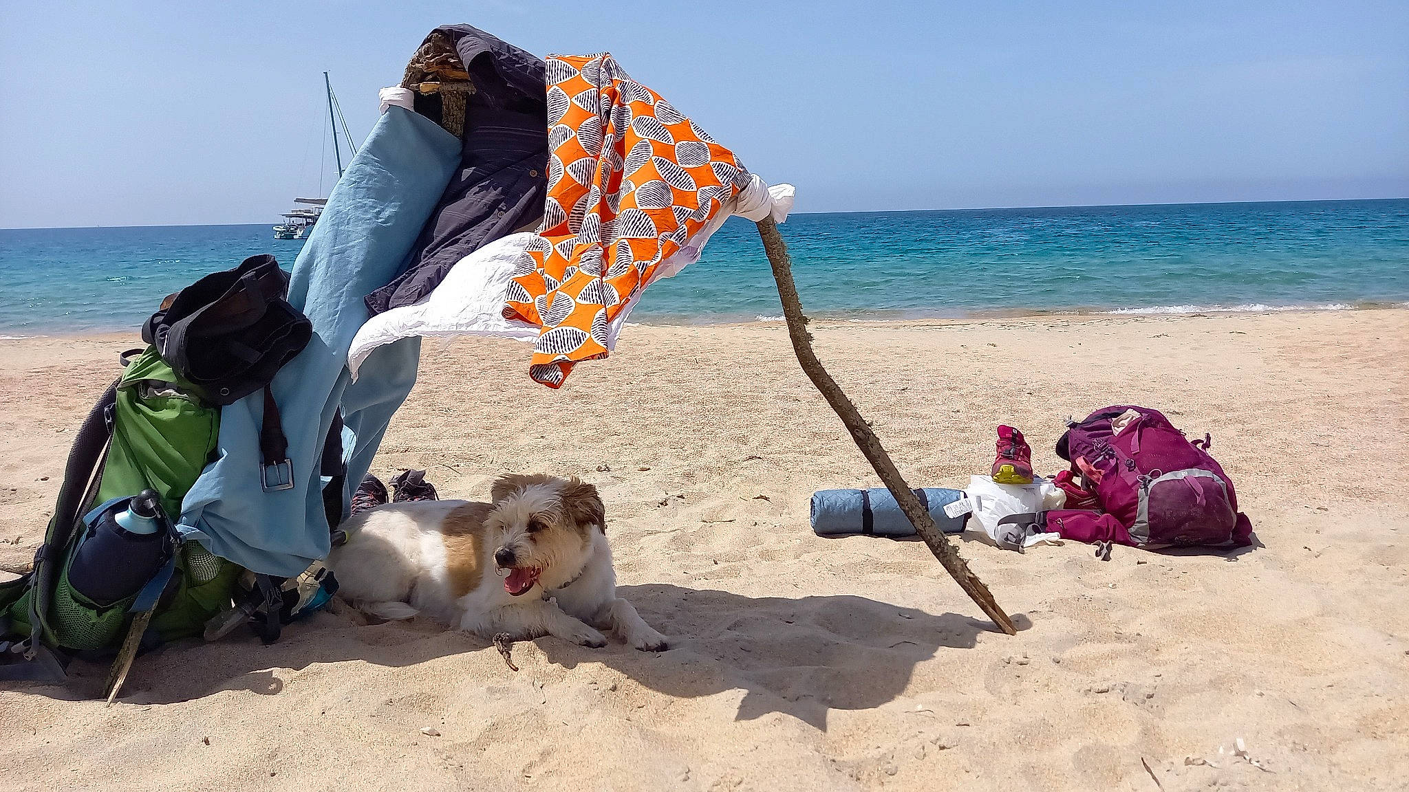 Lili a rejoint le concours — aidez-le/la à gagner de superbes lots ! beach, coast, companion_dog, dog, fashion_accessory, fun, holiday, leisure, luggage_and_bags, ocean, outdoor_furniture, people_in_nature, people_on_beach, recreation, sand, shore, sitting, sky, travel, water