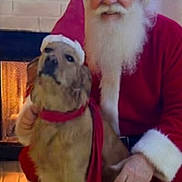 Rosco joined the competition — help win amazing prizes! dog, golden_retriever, santa_claus, fireplace, holiday, christmas, hat, scarf, festive, beard, red_clothing, indoor, floor, smile, pet, animal, warmth, decor, celebration, portrait