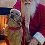 dog, golden_retriever, santa_claus, fireplace, holiday, christmas, hat, scarf, festive, beard, red_clothing, indoor, floor, smile, pet, animal, warmth, decor, celebration, portrait
