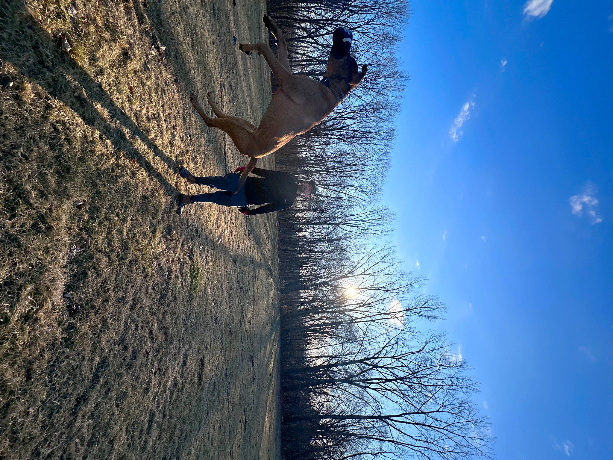 Stanley joined the competition — help win amazing prizes! adventure, azure, electric_blue, extreme_sport, fun, landscape, leisure, people_in_nature, plant, recreation, reflection, shadow, sky, slope, terrain, tints_and_shades, tree, trunk, water, wood