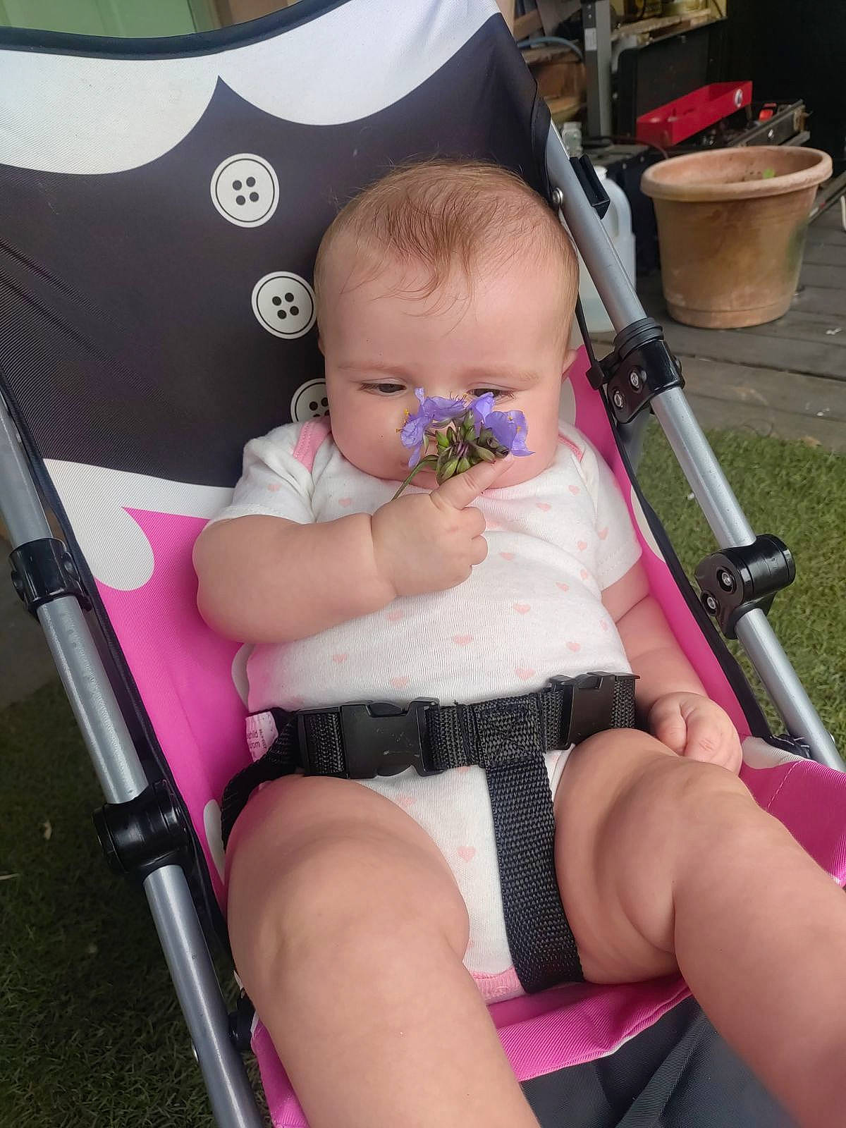 Evelynn joined the competition — help win amazing prizes! abdomen, baby, baby_carriage, baby_products, baby_toddler_clothing, chair, chest, child, comfort, foot, human_leg, knee, lap, leg, person, pink, sitting, skin, thigh, toddler