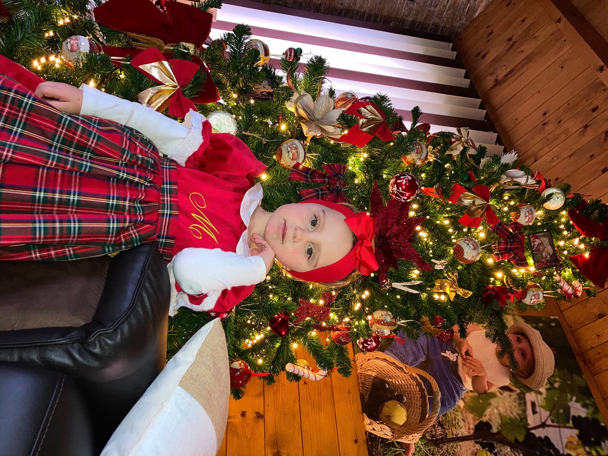 Emma participe au concours pour gagner de l'argent avec cette photo : carmine, christmas, christmas_decoration, christmas_eve, christmas_ornament, christmas_tree, event, flower_arranging, happy, headwear, holiday, holiday_ornament, lap, ornament, person, plaid, plant, red, tartan, tradition