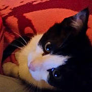 Sooty joined the competition — help win amazing prizes!