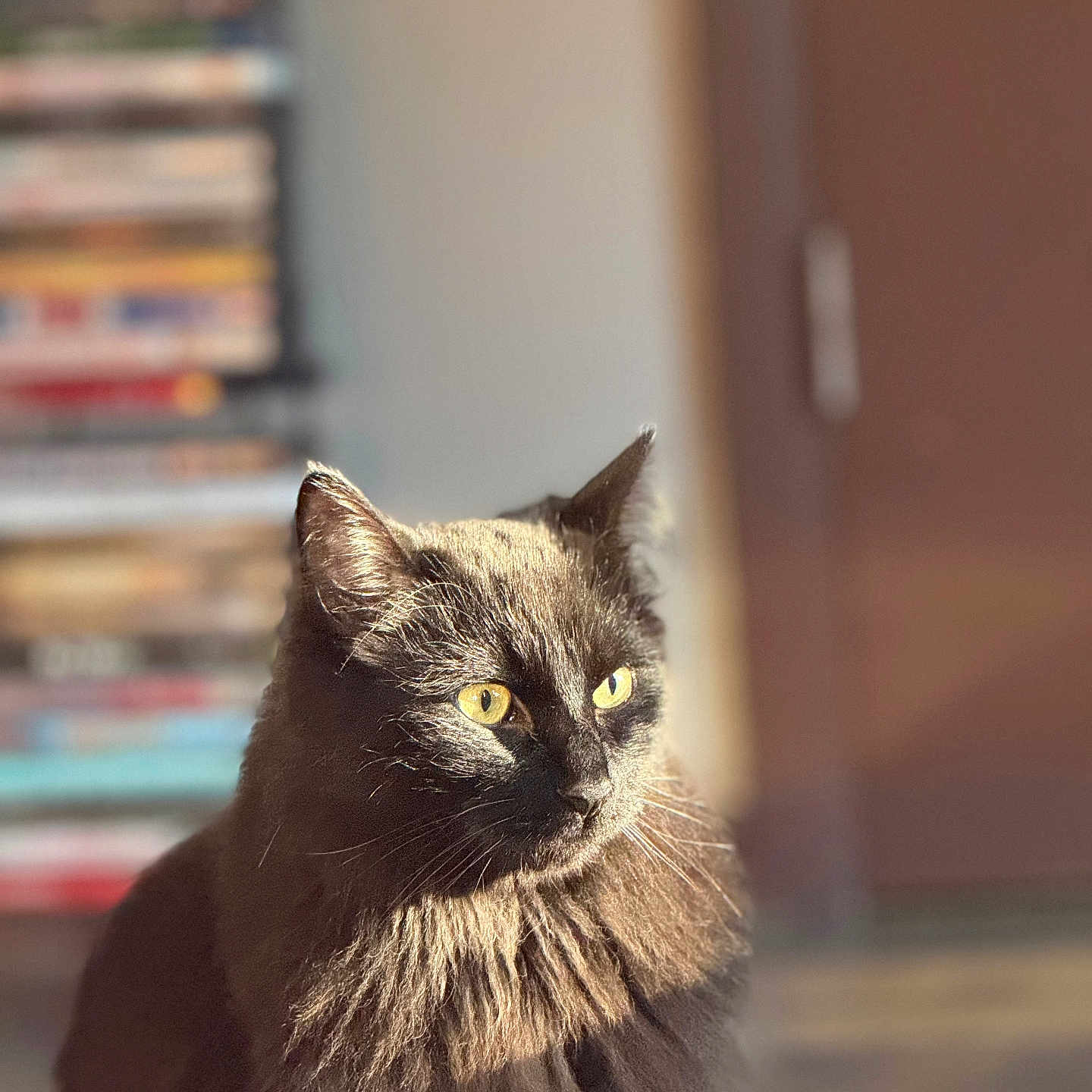 Romeo