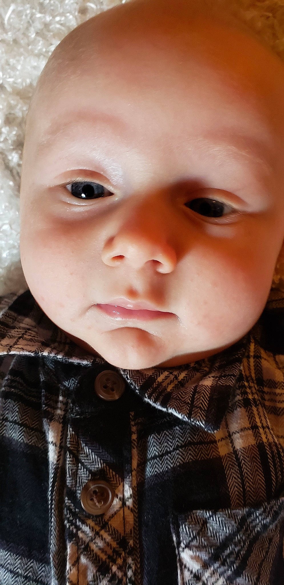 Lucius joined the competition — help win amazing prizes! baby, cheek, child, chin, close_up, eye, eyebrow, eyelash, face, forehead, head, iris, lip, mouth, nose, person, photography, portrait, portrait_photography, skin
