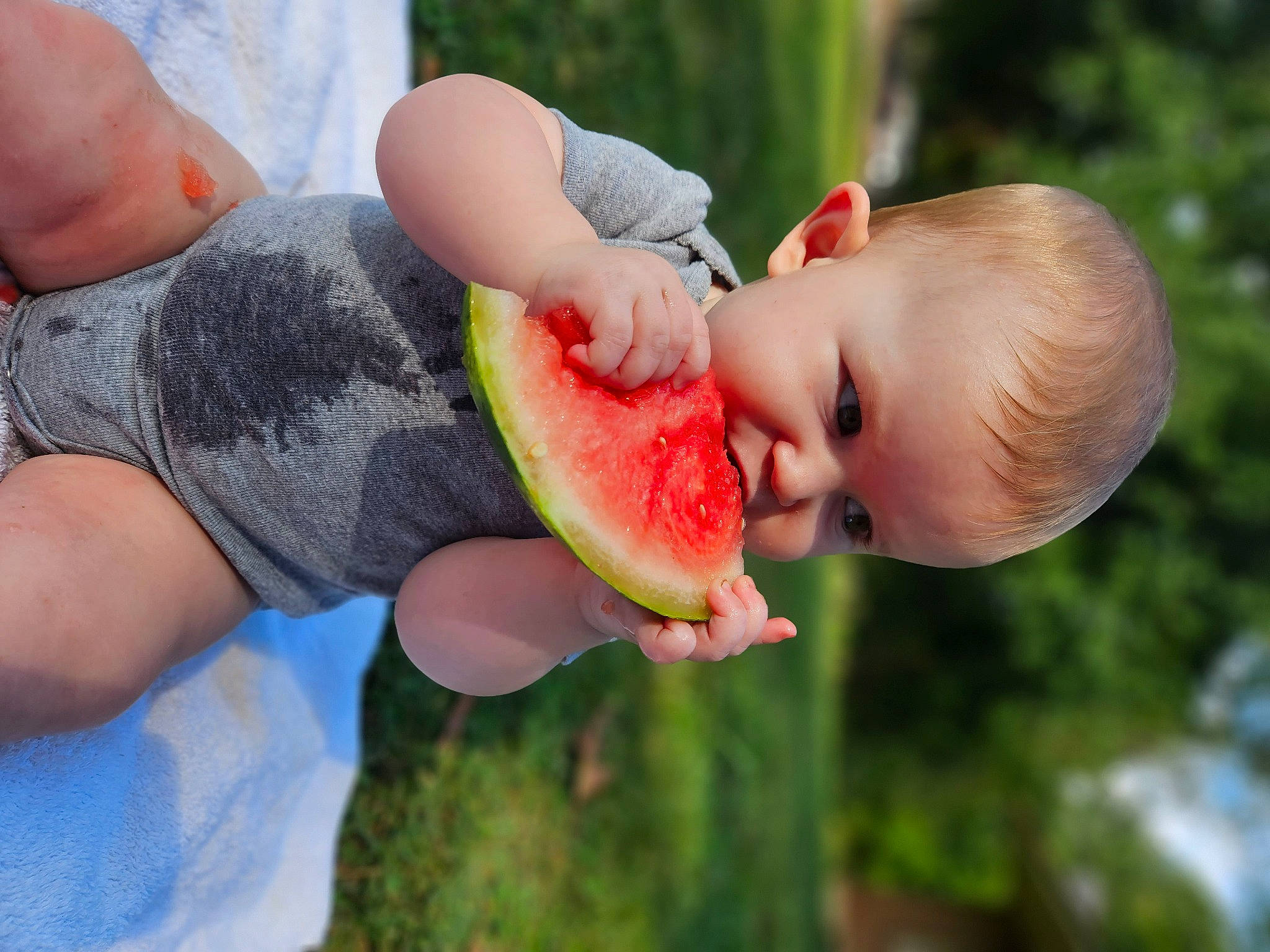 Gracie joined the competition — help win amazing prizes! accessory_fruit, citrullus, common_fig, finger, food, fruit, gesture, grass, hand, happy, ingredient, local_food, melon, natural_foods, people_in_nature, person, produce, seedless_fruit, service, superfood