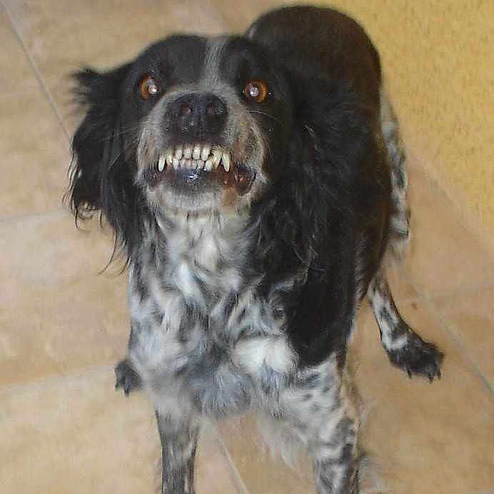 Roxy a rejoint le concours — aidez-le/la à gagner de superbes lots !