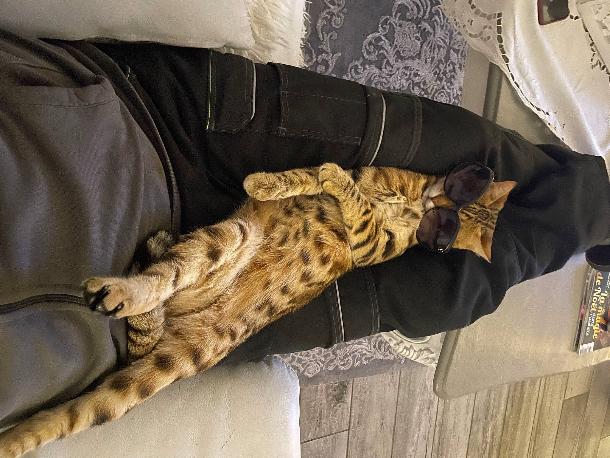 Shadow a rejoint le concours — aidez-le/la à gagner de superbes lots ! camouflage, comfort, dress, elbow, fashion_accessory, fashion_design, feather, felidae, fur, human_leg, linens, military_camouflage, military_uniform, pattern, room, sleeve, thigh, tie, uniform, wood