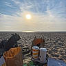 Nala participe au concours pour gagner de l'argent avec cette photo : dog, beach, ocean, sunset, sun, sky, clouds, sand, seaside, picnic, fast_food, fries, drinks, paper_bag, takeout, food, outdoors, shoreline, birds, scenic