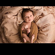 Clyde a rejoint le concours — aidez-le/la à gagner de superbes lots ! baby, infant, newborn, wrapped, blanket, soft, brown, beige, cute, face, skin, foot, hand, portrait, lying_down, cozy, resting, indoors, child, sleepy