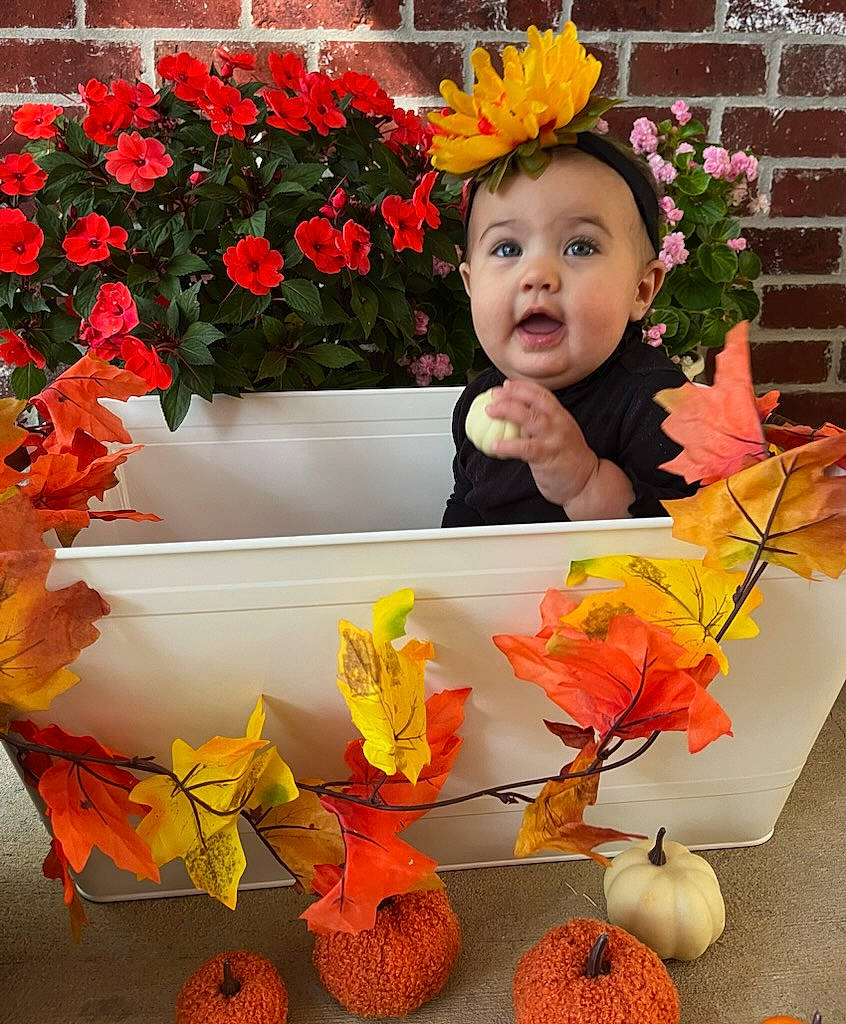 Sadie joined the competition — help win amazing prizes! artificial_flower, baby, botany, bouquet, creative_arts, cut_flowers, event, floral_design, floristry, flower, flower_arranging, happy, leaf, orange, person, petal, plant, red, toddler, twig