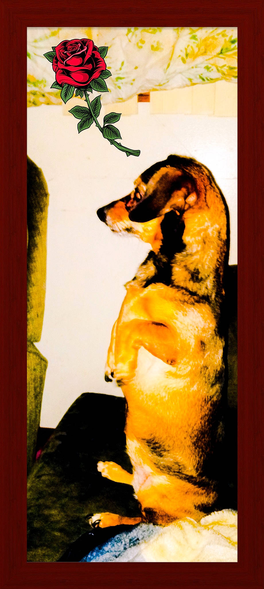 Lucy joined the competition — help win amazing prizes! ancient_dog_breeds, art, canidae, carnivore, companion_dog, dog, dog_breed, fawn, felidae, guard_dog, modern_art, painting, rectangle, sporting_group, tints_and_shades, visual_arts, working_dog