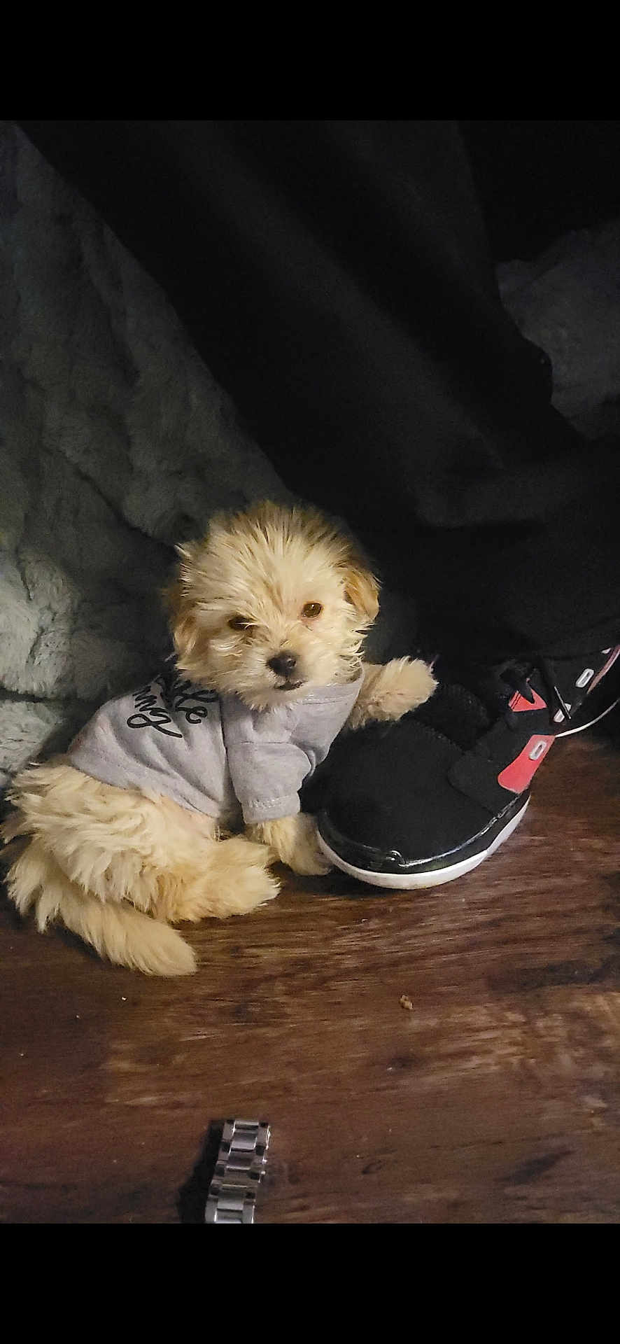 Charlie