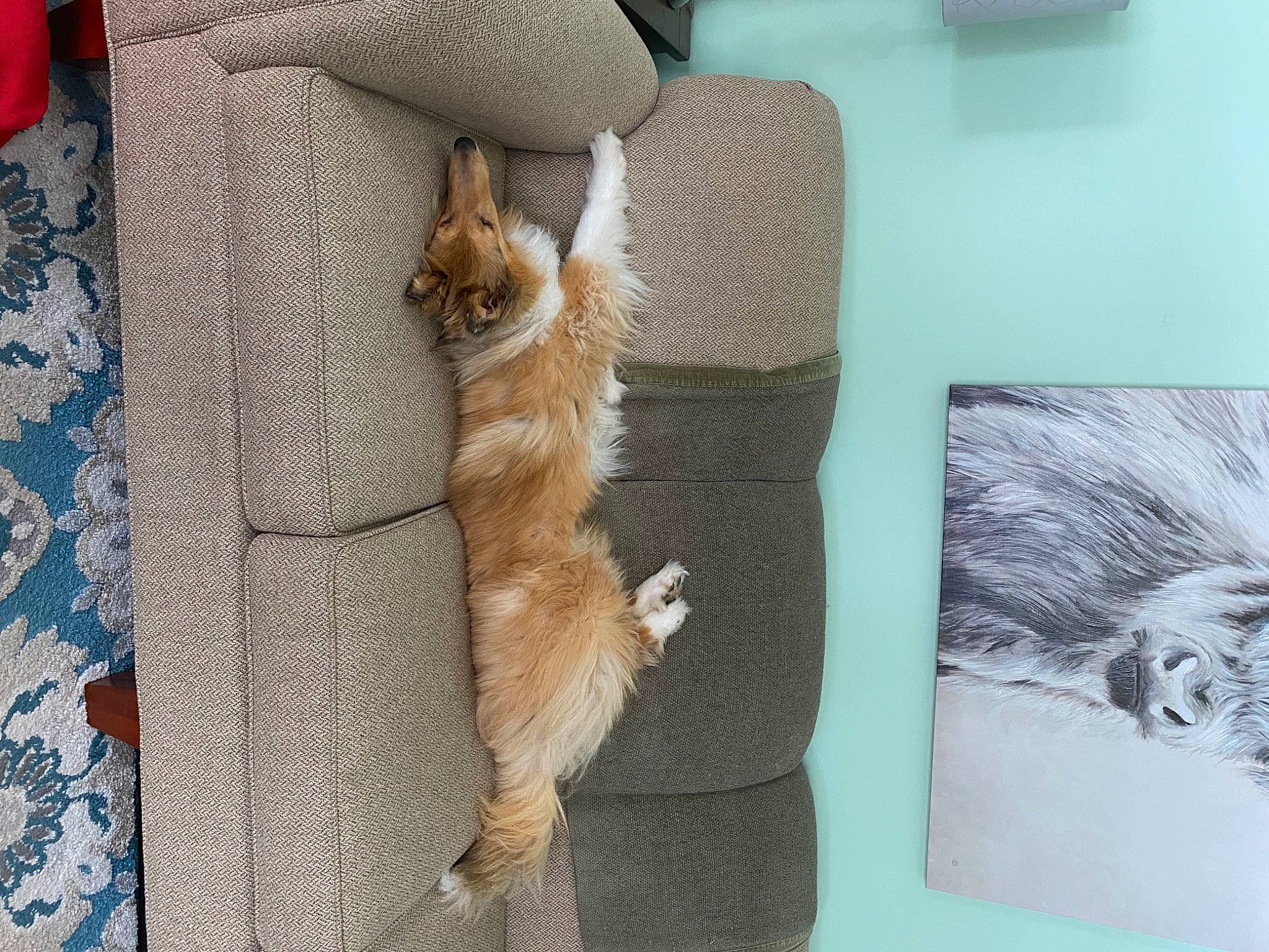 Kennedy is registered to the contest to win money with this photo: art, canidae, carnivore, comfort, companion_dog, fawn, felidae, fur, gesture, human_leg, mammal, small_to_medium_sized_cats, snout, sporting_group, tail, thigh, vertebrate, whiskers, wildlife, wood