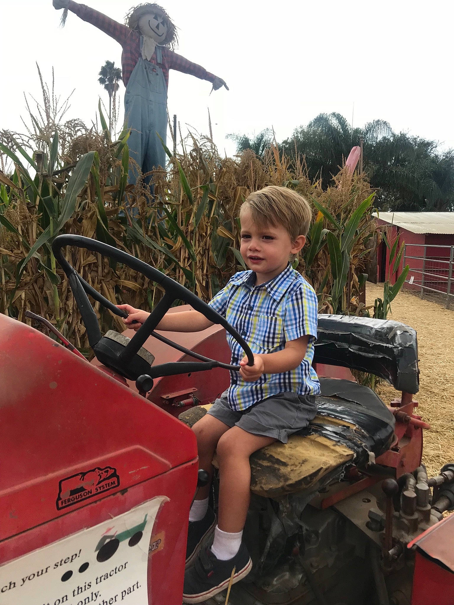 Owen is registered to the contest to win money with this photo: car, child, person, plant, vacation, vehicle