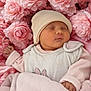 baby, newborn, sleeping, hat, blanket, pink, flowers, soft, cute, infant, peaceful, cozy, wrapped, resting, child, portrait, closeup, warm, delicate, adorable