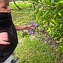 toddler, child, baby_carrier, purple_flowers, greenery, outdoor, nature, grass, leaves, plants, curious, hand, portrait, person, daylight, exploration, growth, baby, casual, footwear