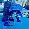 cat, tabby_cat, blue_hood, blue_booties, pet_clothing, outdoor, furniture, potted_plant, patio, animal, pet, four_legs, whiskers, ears, fur, curious, standing, textured_surface, sunlight, shadows