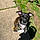 Roxy