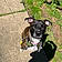 Roxy