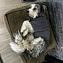 Pepper participe au concours pour gagner de l'argent avec cette photo : animal, black_fur, canine, comfortable, cozy, curious, cushion, dog, fur, gray_sweater, home, indoor, lying_down, pet, relaxing, resting, small_dog, stone_floor, white_fur, wood_floor