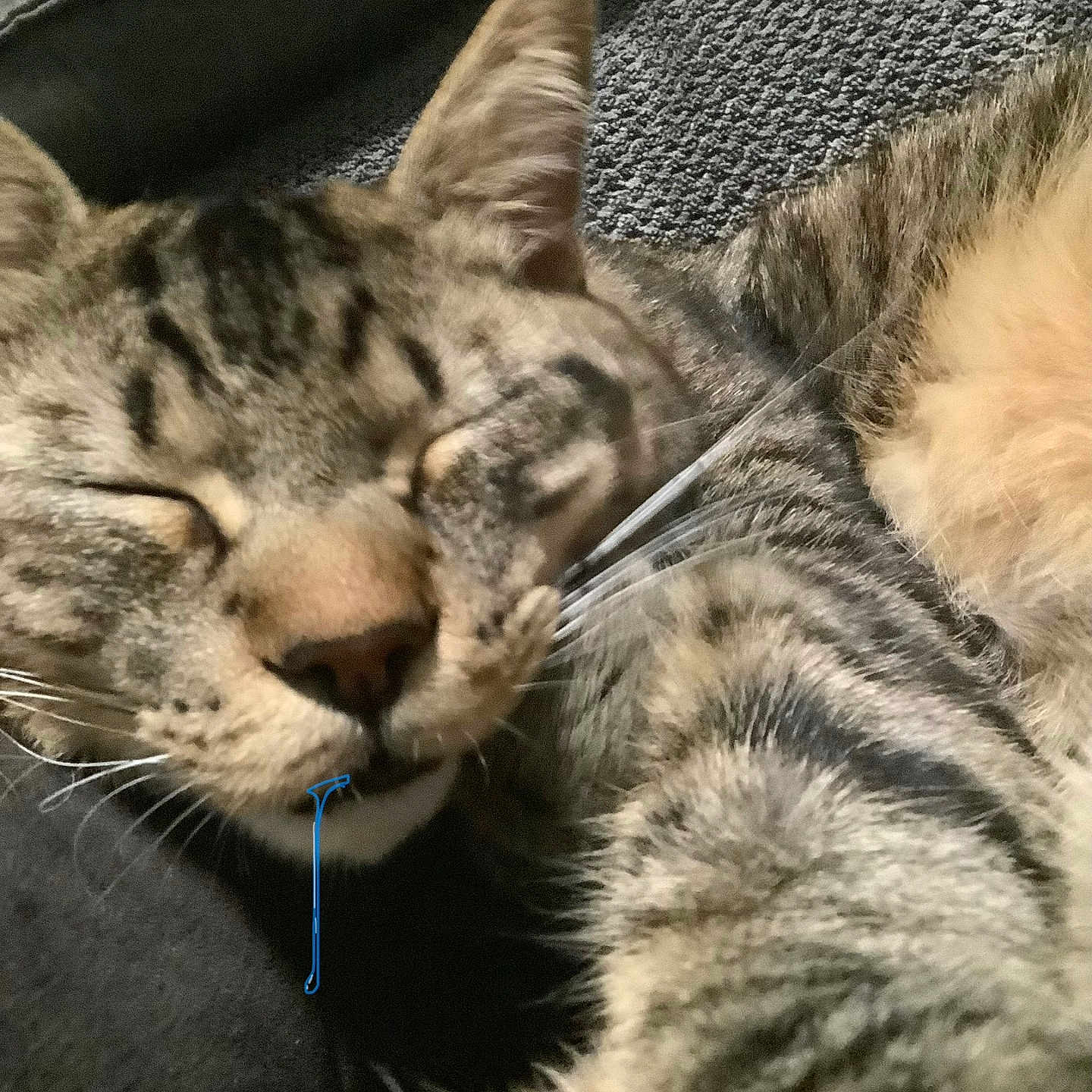 Mischief