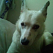 Indien participe au concours pour gagner de l'argent avec cette photo :