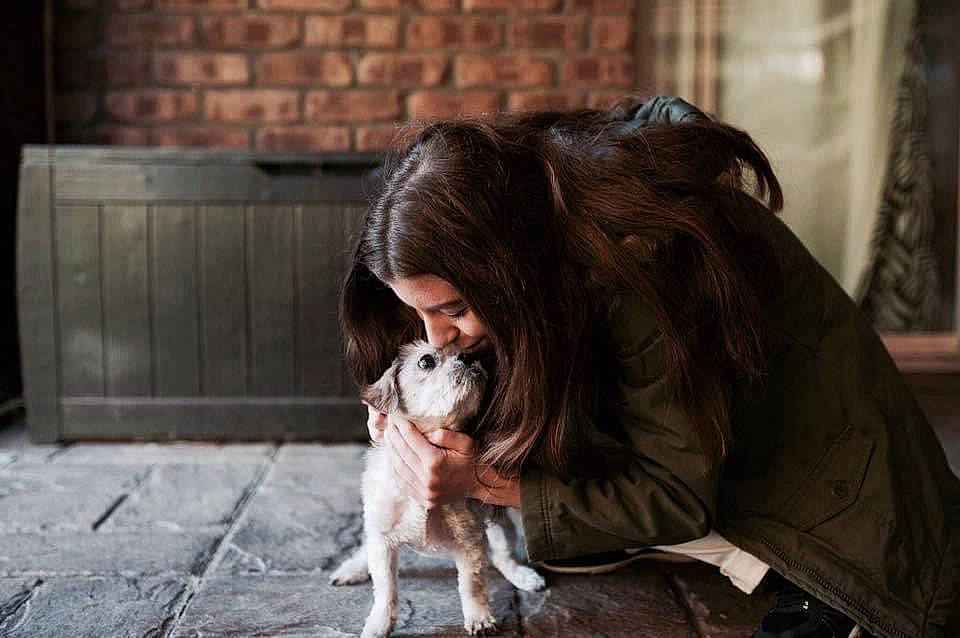 Maggi is registered to the contest to win money with this photo: brick, brickwork, canidae, carnivore, companion_dog, dog, dog_breed, fawn, felidae, flash_photography, fur, sitting, small_to_medium_sized_cats, snout, spaniel, sporting_group, street, tail, toy_dog, whiskers