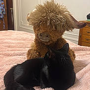 Salem Noir joined the competition — help win amazing prizes! black_cat, stuffed_animal, highland_cow_toy, pink_blanket, bedroom, furniture, wooden_drawer, door, relaxed, cozy, indoor, pet, animal, fur, soft_texture, curious, lying_down, plush, quiet, resting