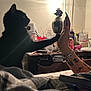 Salem Noir joined the competition — help win amazing prizes! black_cat, cat, hand, tattoos, bracelets, lamp, indoor, nightstand, bottle, coca_cola_can, blanket, silhouette, person, nails, long_nails, table, clutter, shadow, wall, bed