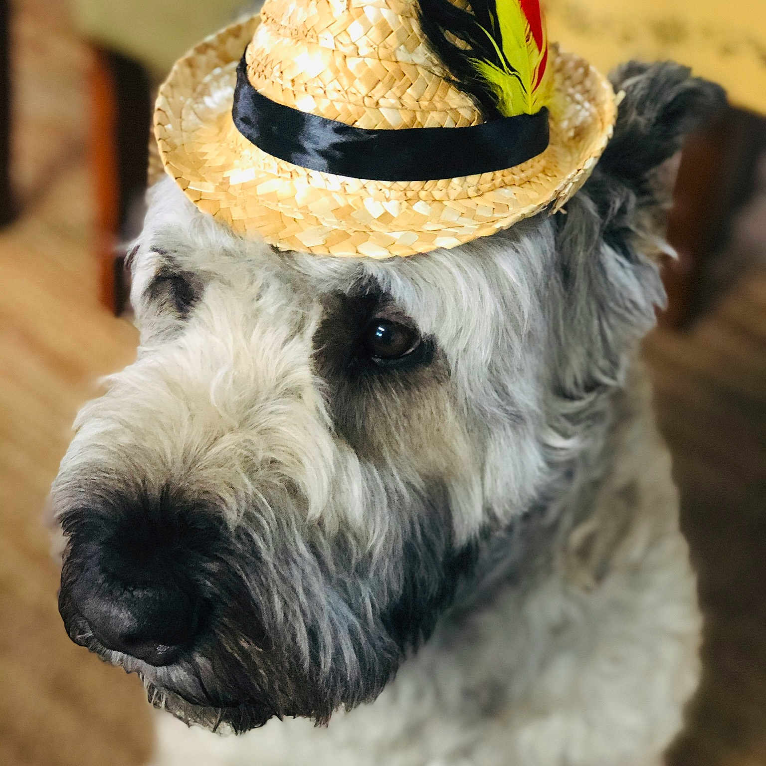 Finnigan