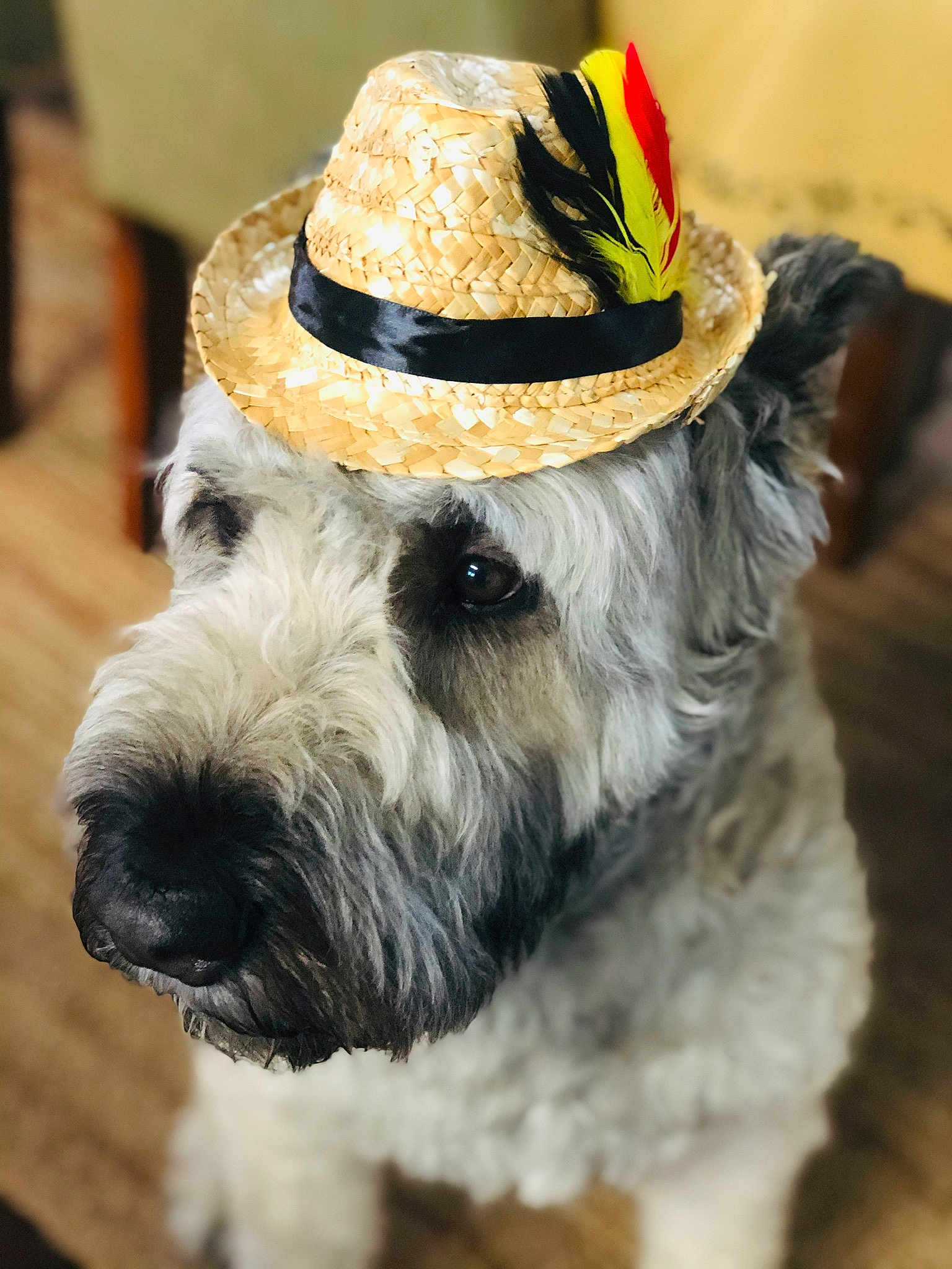 Finnigan