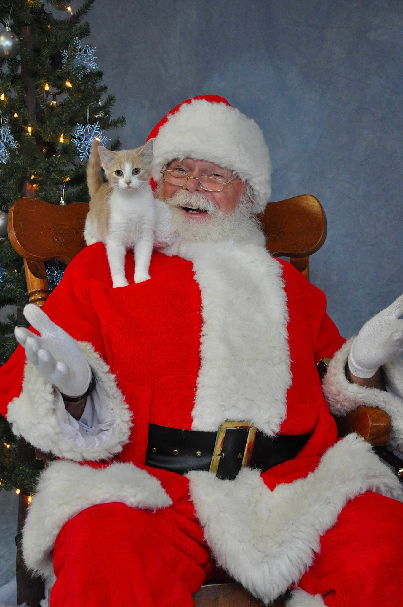 Xena joined the competition — help win amazing prizes! christmas, fictional_character, fur, holiday, lap, santa_claus, winter