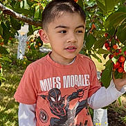 Liam joined the competition — help win amazing prizes! child, boy, tree, cherries, fruit, outdoor, nature, greenery, grass, shirt, clothing, short_hair, daylight, casual, portrait, person, spiderman, superhero, hand, standing