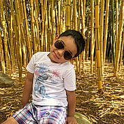 Ethan is registered to the contest to win money with this photo: bamboo, boy, casual, child, dinosaur, forest, leaves, nature, outdoor, plants, playful, rock, shade, shorts, smile, summer, sunglasses, sunlight, trees, tshirt