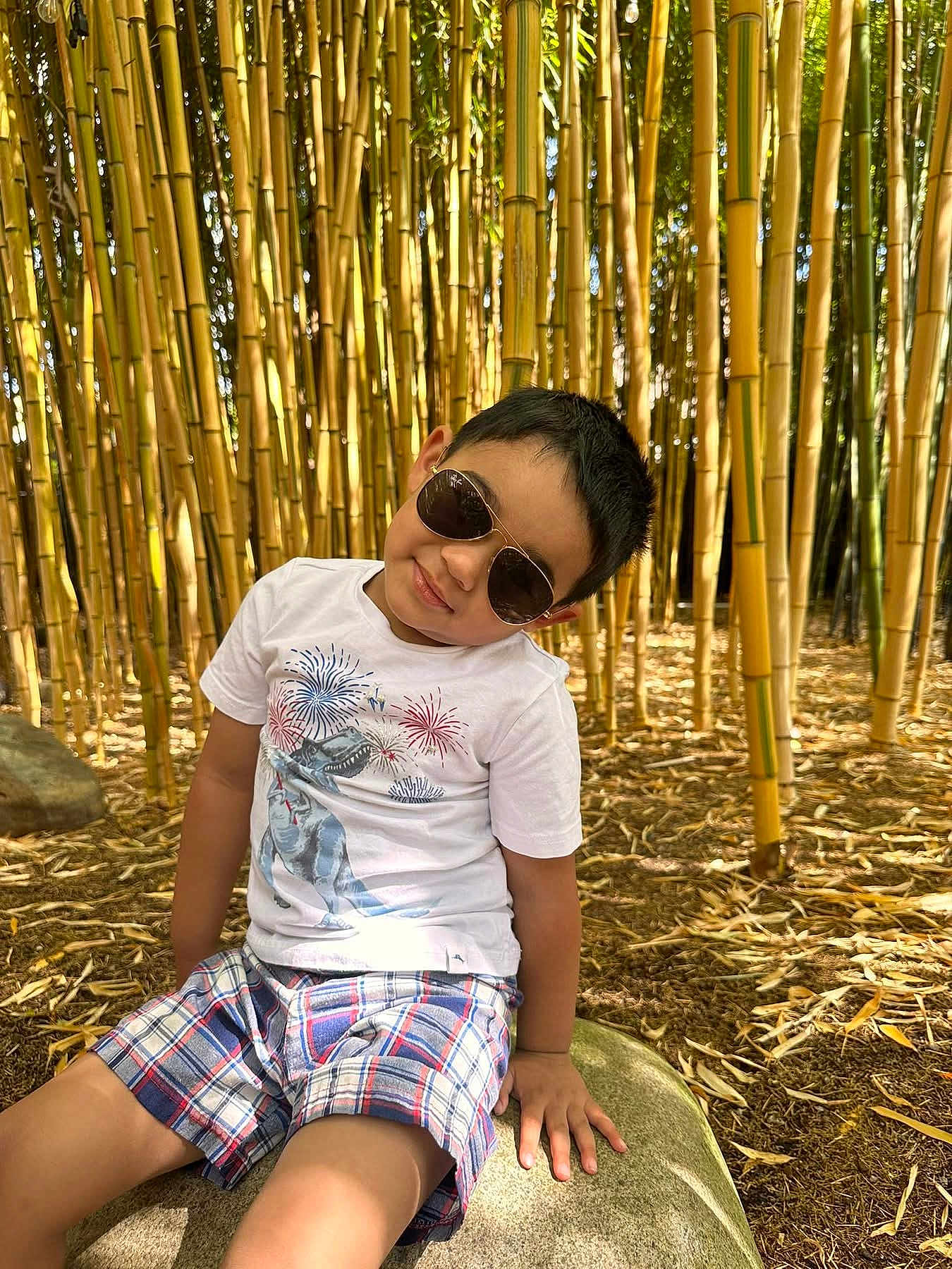 Ethan is registered to the contest to win money with this photo: bamboo, boy, casual, child, dinosaur, forest, leaves, nature, outdoor, plants, playful, rock, shade, shorts, smile, summer, sunglasses, sunlight, trees, tshirt
