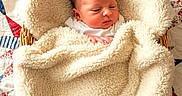 Penelope joined the competition — help win amazing prizes! baby, basket, blanket, blue, child, cozy, cream_blanket, face, indoors, infant, lying_down, newborn, photography, portrait, quilt, red, sleepy, star_pattern, swaddled, white