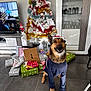 dog, german_shepherd, christmas_tree, presents, santa_hat, sweater, indoor, holiday, festive, floor, tile, cabinet, glassware, television, furniture, decorations, wrapped_gifts, smiling, pet, celebration