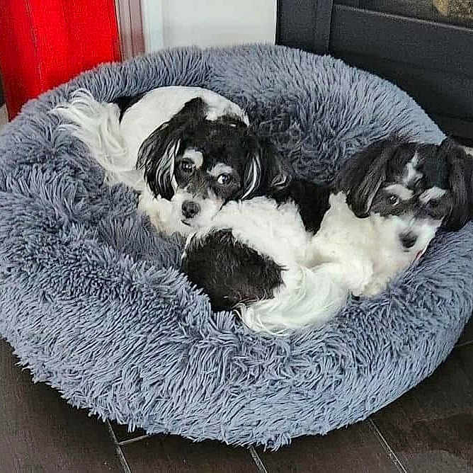 Mickey And Minnie