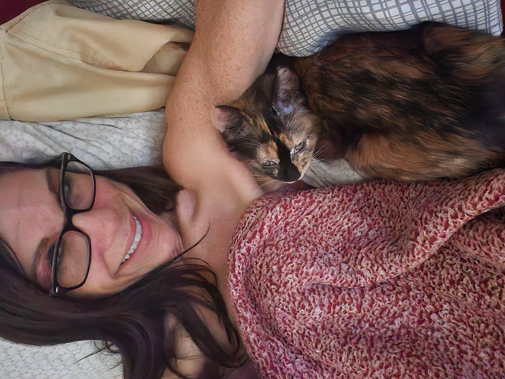 Brandi is registered to the contest to win money with this photo: carnivore, cat, comfort, ear, eyelash, fawn, felidae, gesture, glasses, happy, interaction, iris, lap, long_hair, mammal, skin, small_to_medium_sized_cats, smile, vision_care, whiskers