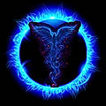Phoenix D.